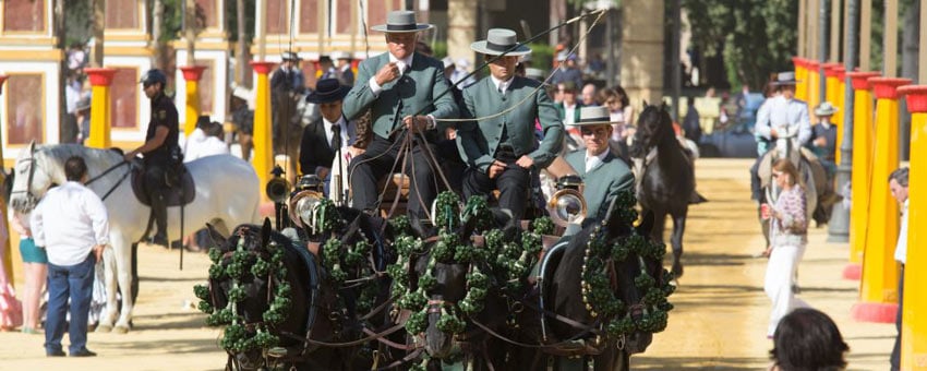 Andalusische Pferde Zur Feria Del Caballo