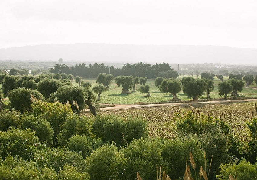 EWTC Blog Apulien Apulien Blog Borgo Egnazia