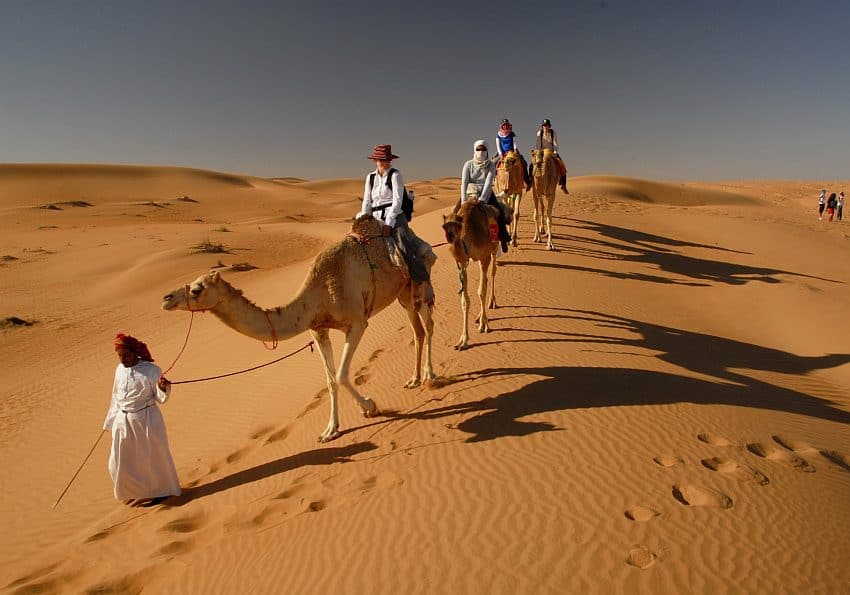 Camel Riding At Wahiba Sands