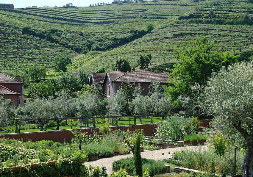 Douro Garten Restaurant