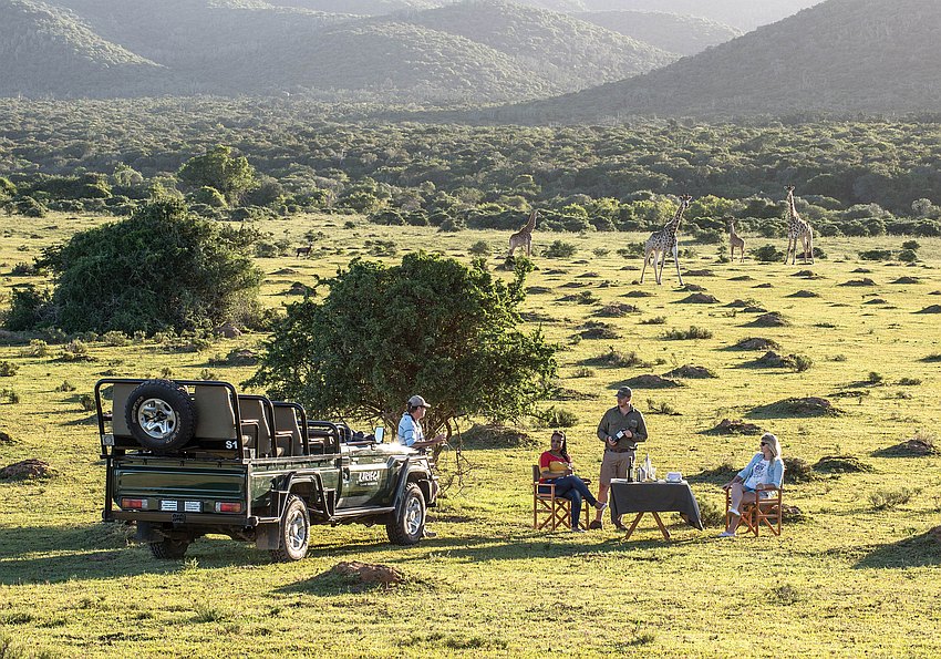 Safari im Kariega Game Reserve