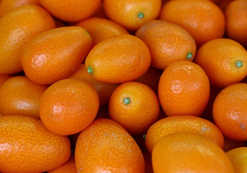 Kumquats