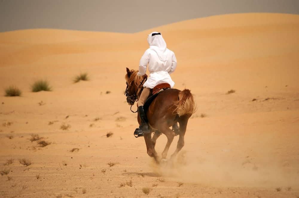 Sport in Dubai