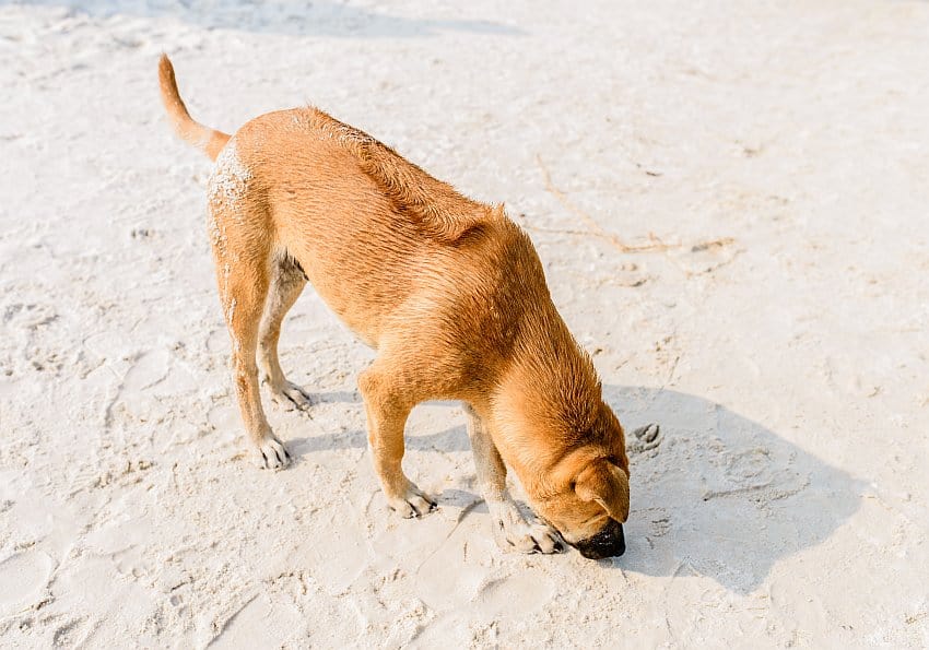 EWTC Blog Phu Quoc
