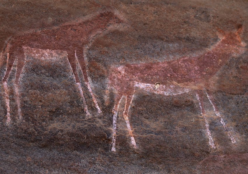 EWTC natürlich gut Rock Art Safari