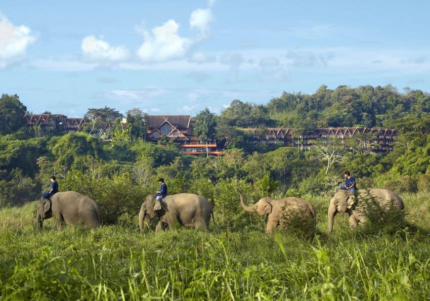 Chiang Rai Hotel Anantara Golden Triangle Resort Elefanten
