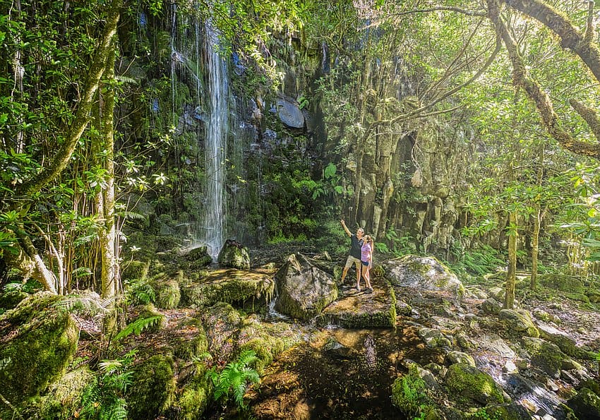 Natur Madeira