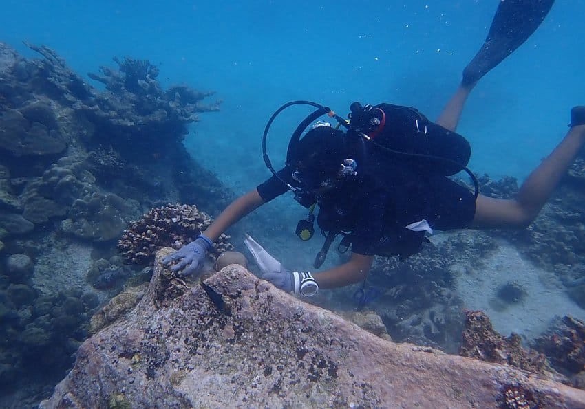 Coral Replantation