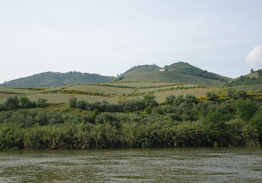 Douro Kreuzfahrt