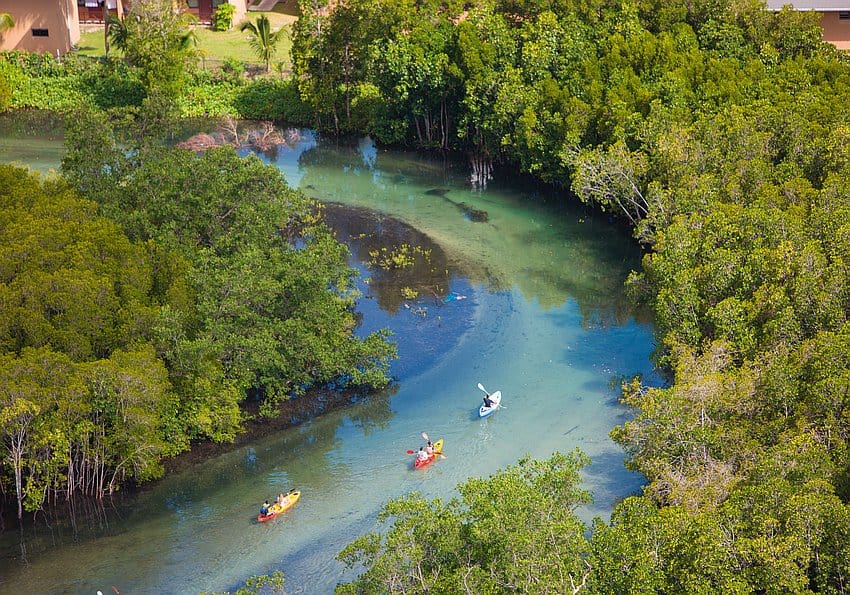 kayak ephelia