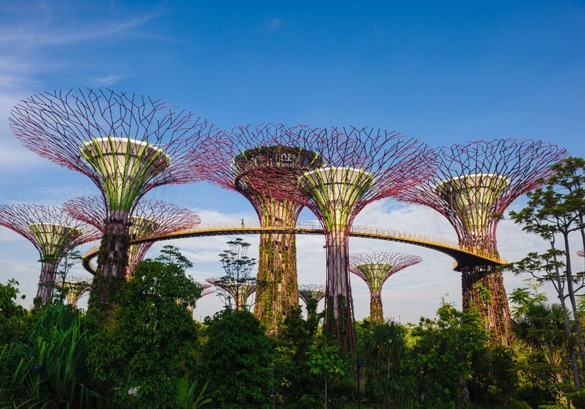 Park mit Supertrees Singapur