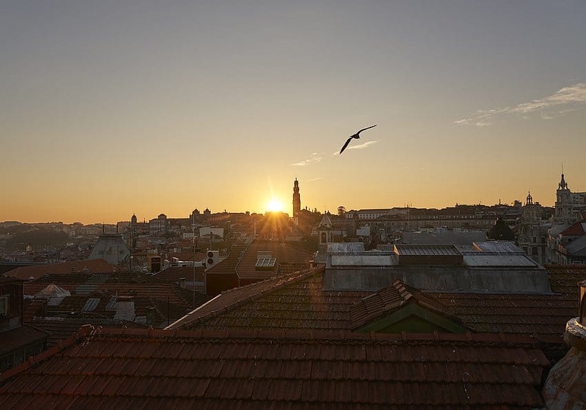 Porto Panorama