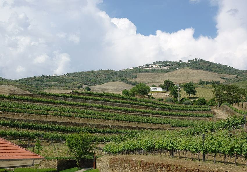 Quinta Do Bonfim