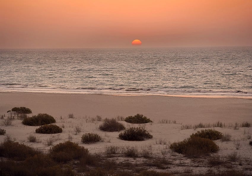 Saadiyat Beach