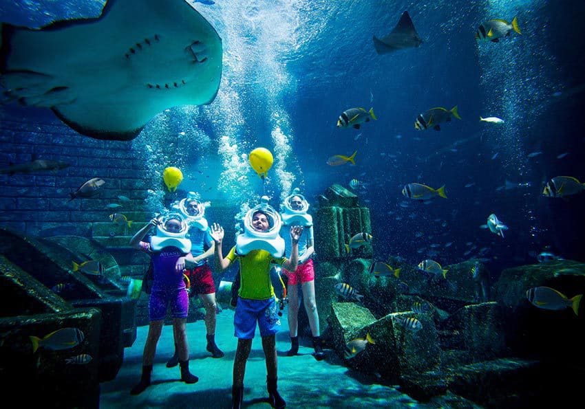 Tauchen im Atlantis The Palm