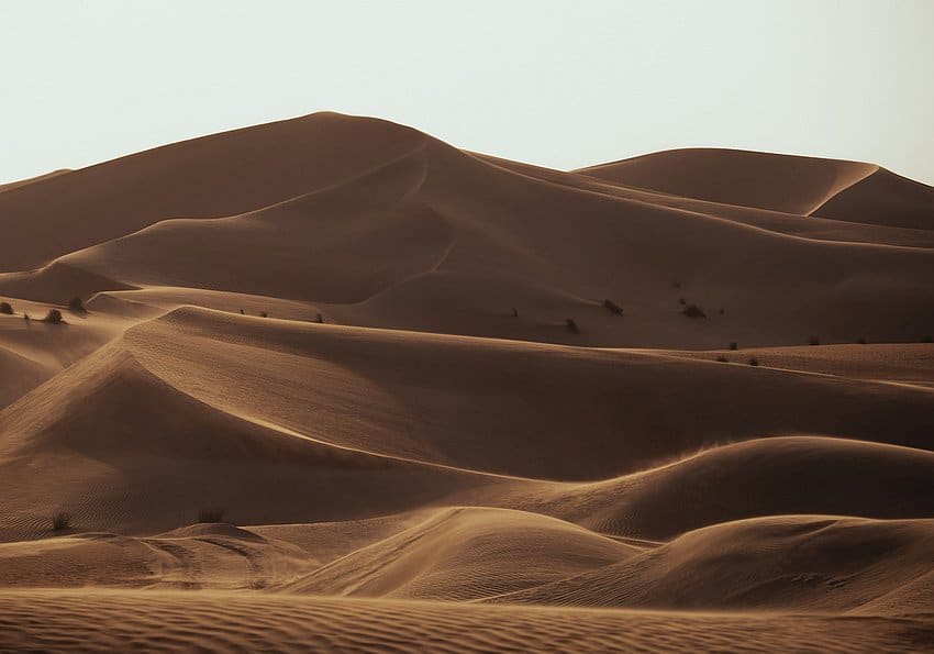 the empty quarter