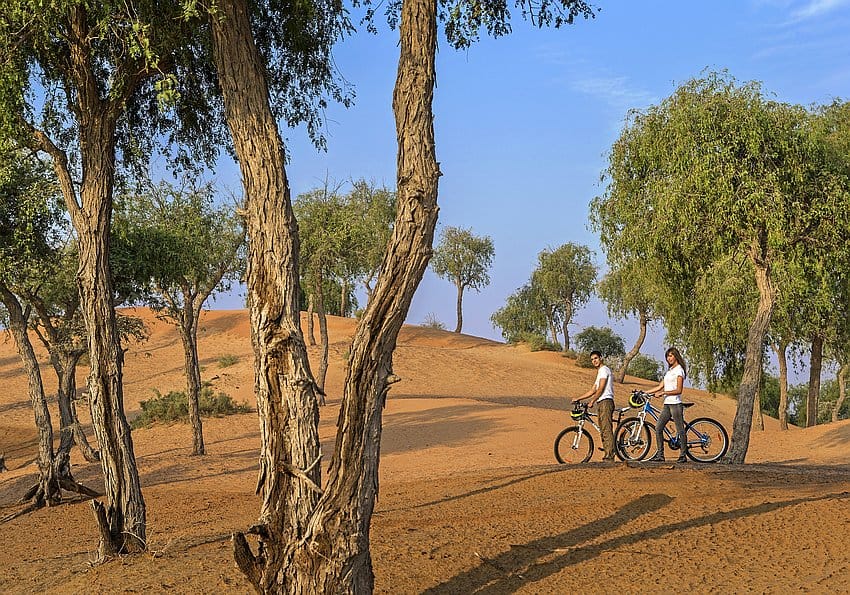 The Ritz Carlton Al Wadi Desert Bicycle Trail