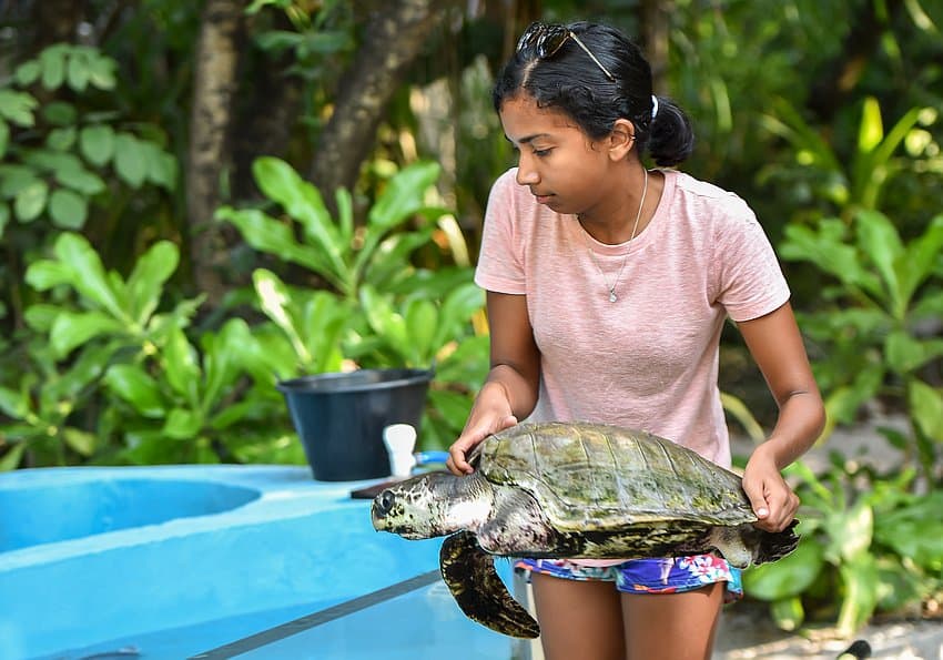 turtle rescue coco