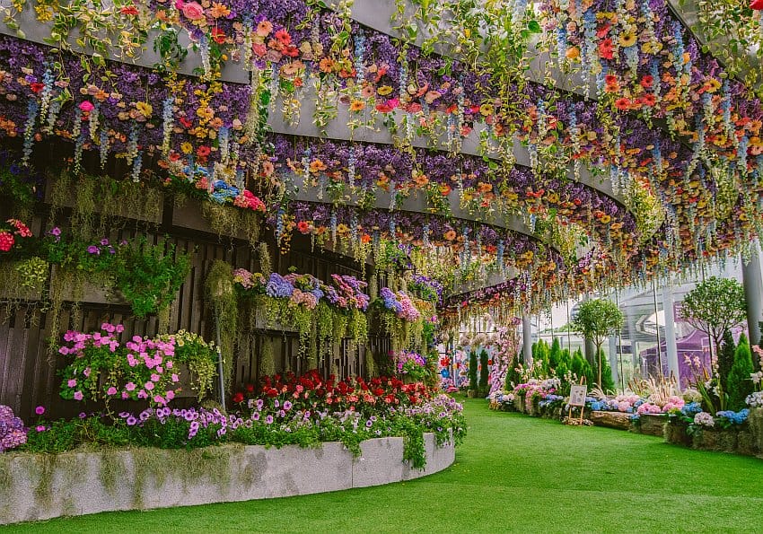 Vertical Garden