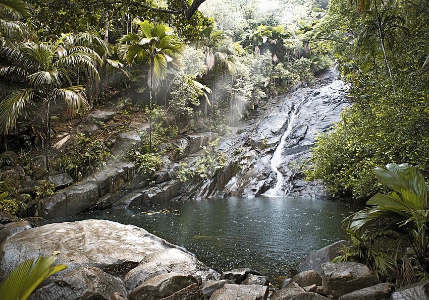 wetter seychellen