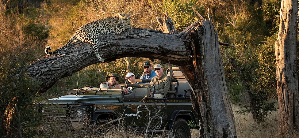 Kruger Nationalpark