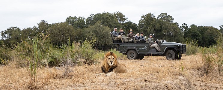 Mala Mala Game Drive