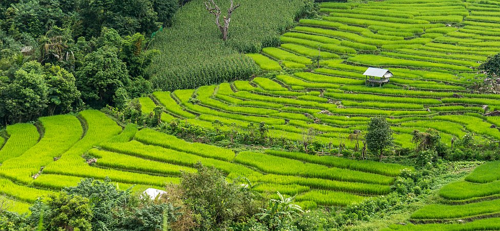 Thailand Landschaft