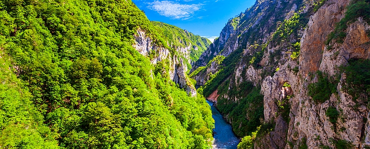 Tara Schlucht Montenegro