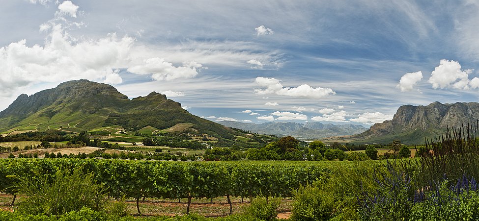 Winelands Südafrika