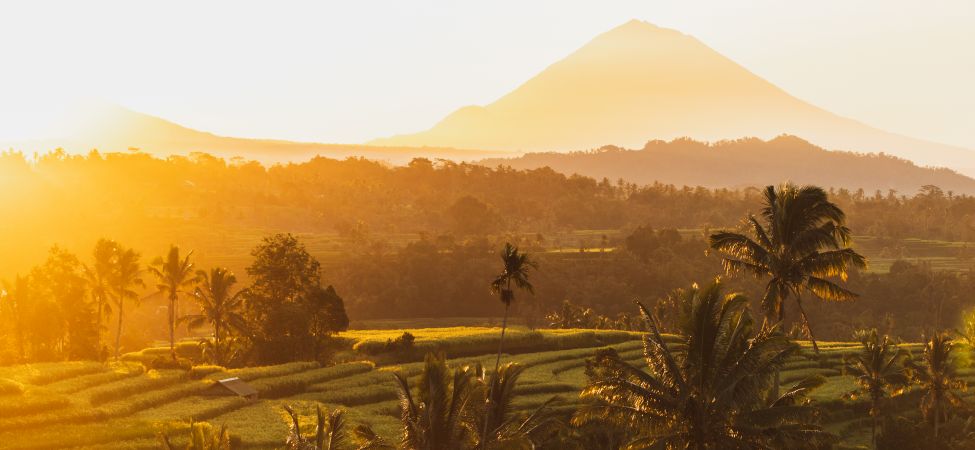 Die Temperaturen auf Bali liegen ganzjährig bei etwa 30° C