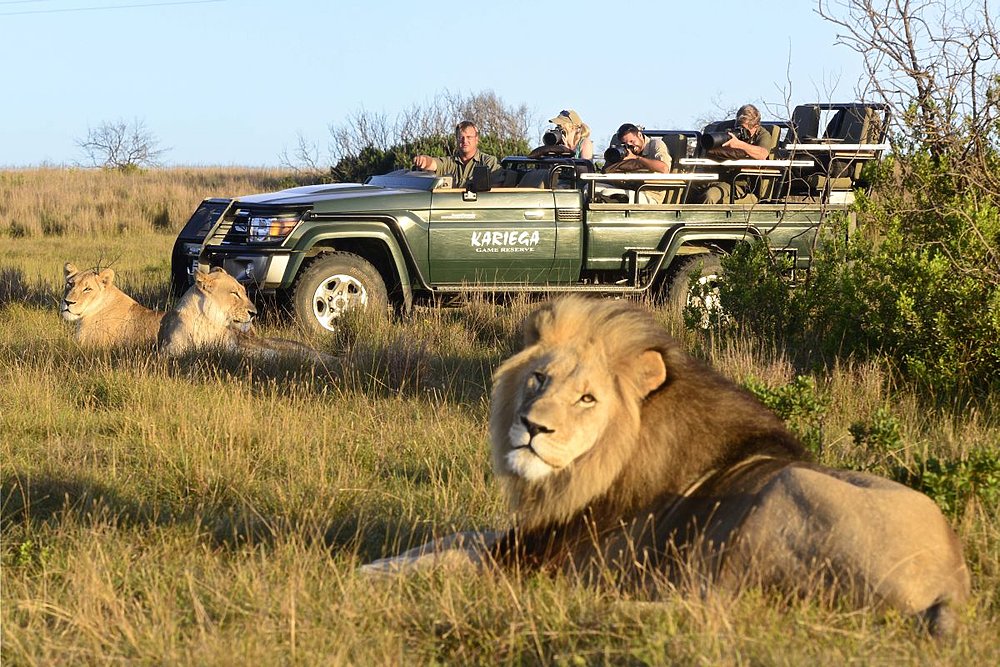 kapstadt safari kosten