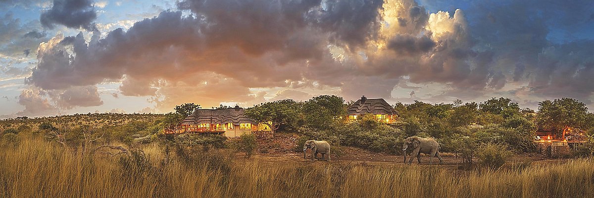 Safari Lodges Hotels günstig buchen