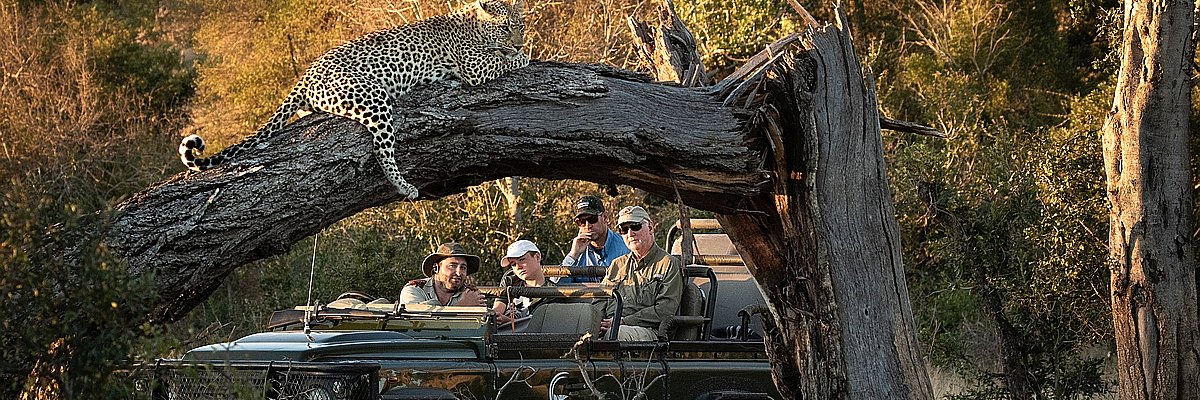 Safari Lodges Reisen und Safari Lodges Sonderangebote