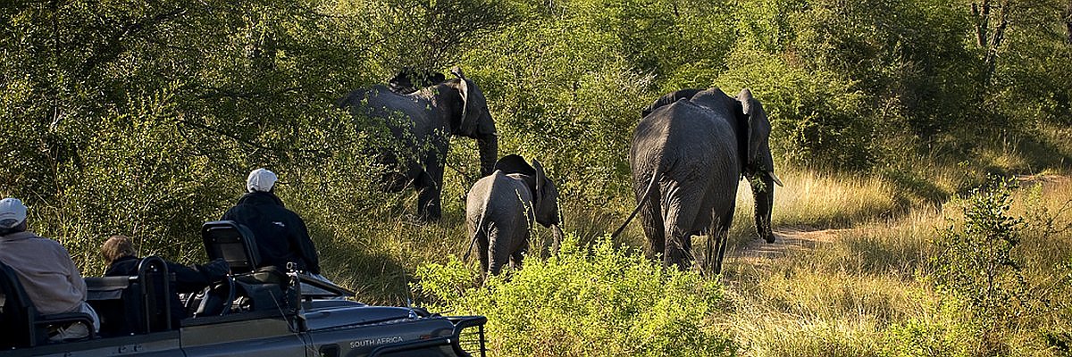 Südafrika Hotels günstig buchen