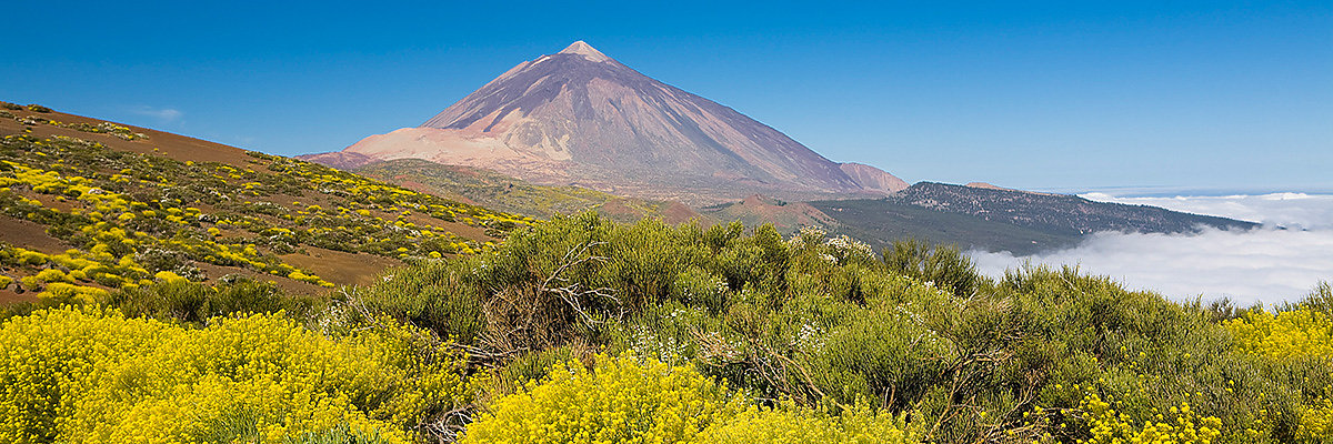 Teneriffa Reisen und Teneriffa Sonderangebote