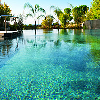 Black Pool - Elite Suites