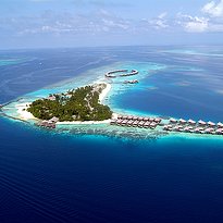 Coco Bodu Hithi