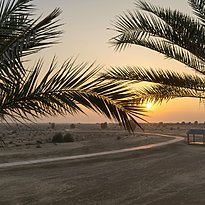 Fahrradweg durch die Wüste am Resort