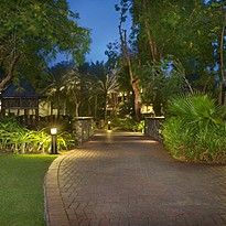 Gartenanlage - JA Palm Tree Court