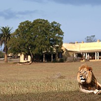 Gorah Elephant Camp