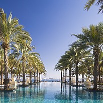 Infinity Pool - Al Bustan Palace, A Ritz-Carlton Hotel