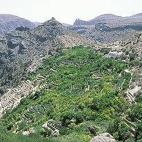 Rundreise Oman - Oman's Fascinating Nature