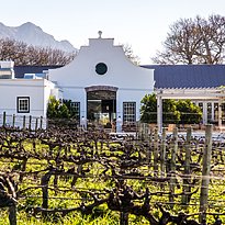 Restaurant Tryn - Steenberg Hotel