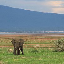 Lake Manyara