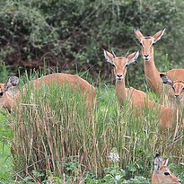 Lake Manyara