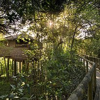 Suite - Tsala Treetop Lodge