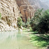 Rundreise Oman - Turtles, Water and Sand