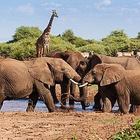 Lake Manyara