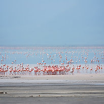 Lake Manyara