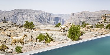 Anantara Al Jabal Al Akhdar Resort